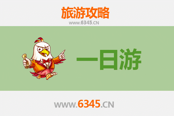 阿拉善左旗一日游攻略：沙漠探险与文化体验全记录