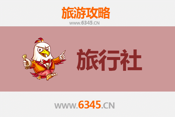 阿拉善左旗旅行社推荐：探索大漠秘境的完美指南
