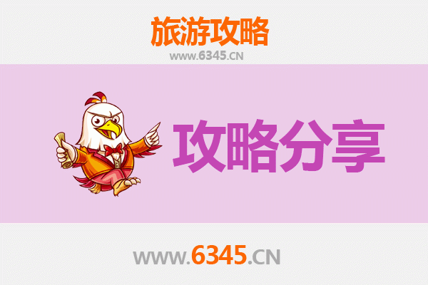阿拉善左旗旅游攻略：跟团与自由行深度对比