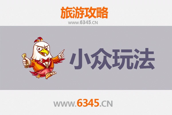 阿拉善左旗秘境探索：解锁沙漠与草原的小众玩法