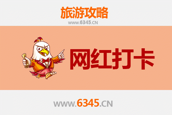 阿拉善左旗网红打卡地全攻略：沙漠秘境与星空之旅