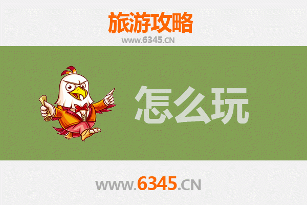 节假日玩转阿拉善左旗：沙漠探险与文化体验全攻略